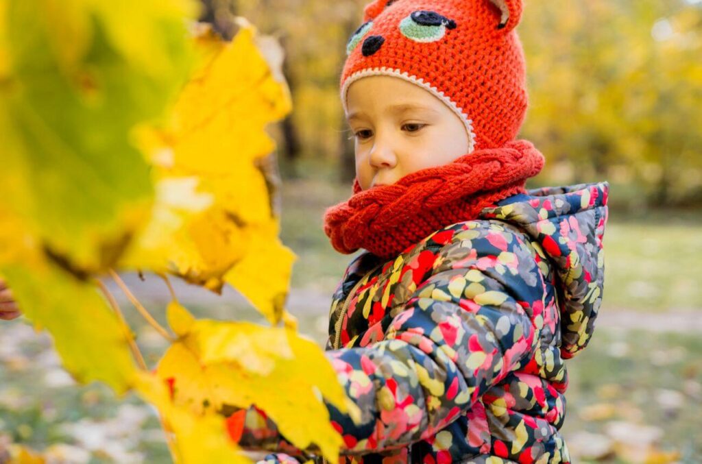 dievčatko si prezerá jesenné listy na stome