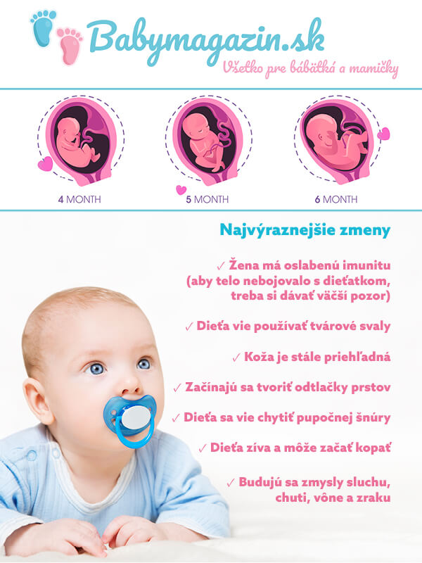 2. trimester: Oslabená imunita ženy. Vyvíjajú sa zmysly sluchu, chuti, vône a zraku. Dieťa používa tvárové svaly a vie sa chytiť pupočnej šnúry. Začína zívať a kopať.