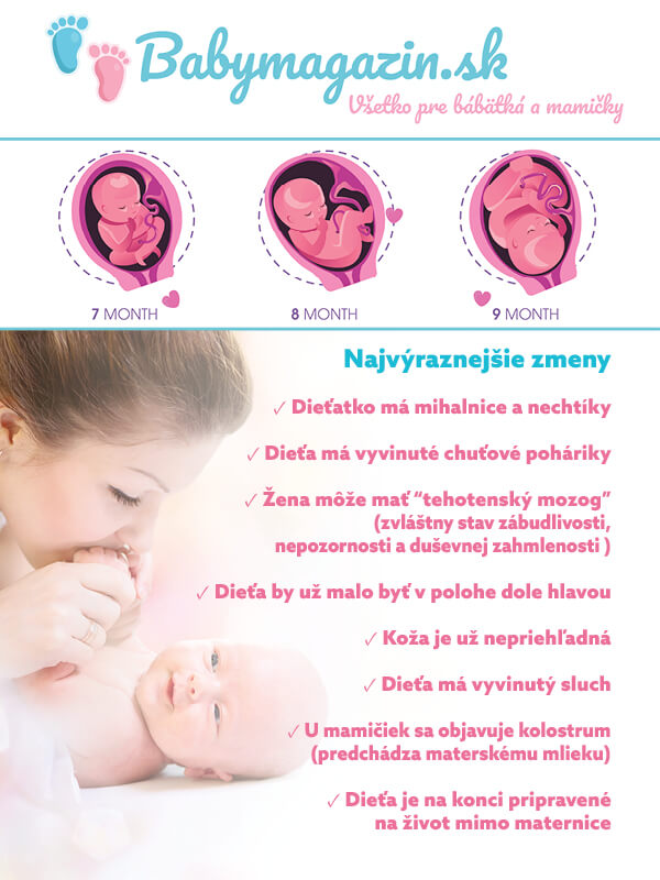 3. trimester: Dieťatku rastú mihalnice, nechtíky. Vyvíjajú sa chuťové poháriky a sluch. Koža je nepriehľadná. Mamička môže byť zábudlivá a objavuje sa kolostrum.