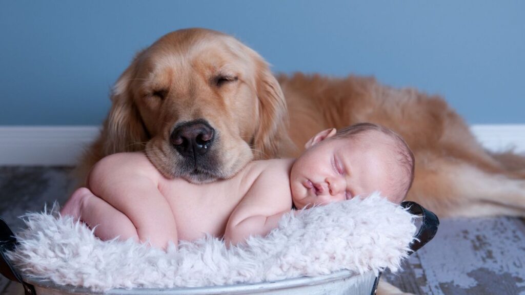 dieťa a pes spia