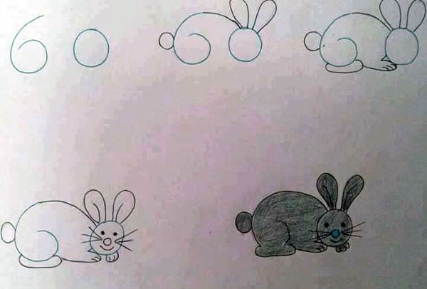 ako naucit dieta kreslit zajko